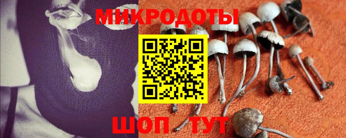Галлюциногенные грибы Psilocybe  Вход с VPN  Магнитогорск 